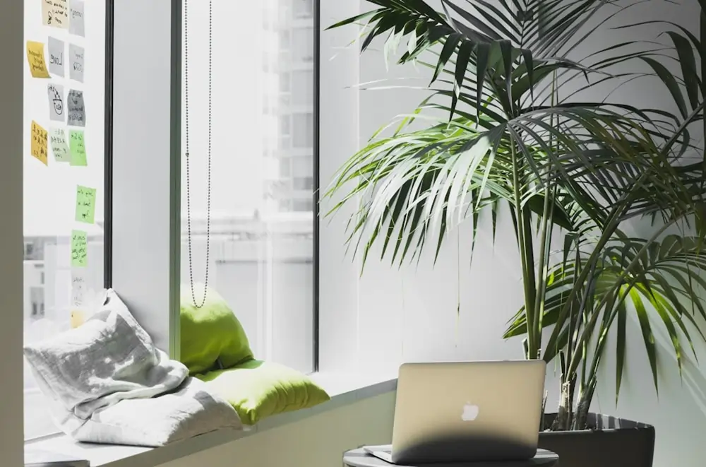 Natural Light In home office