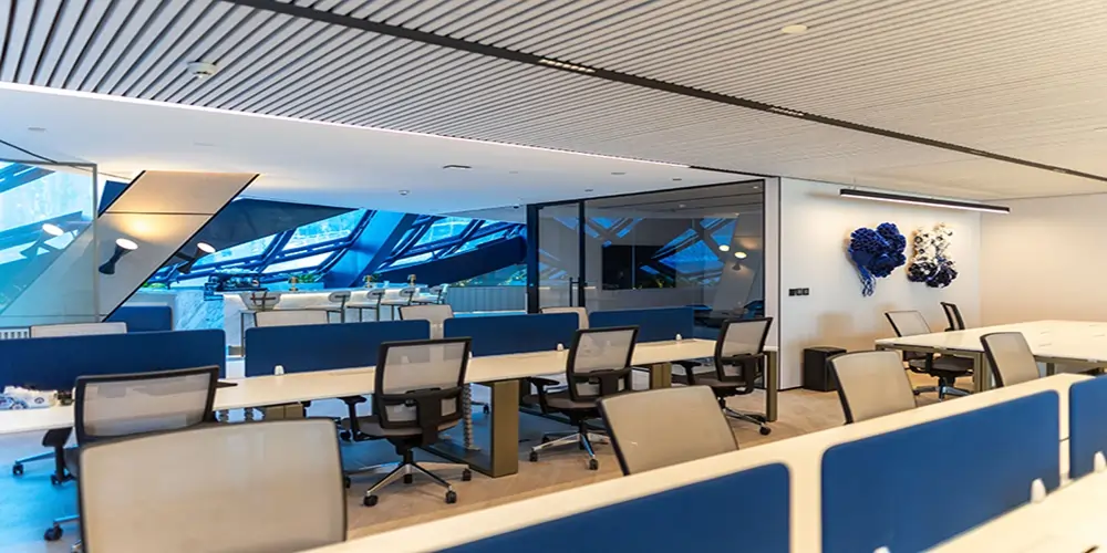 Office Space with Budget Friendly