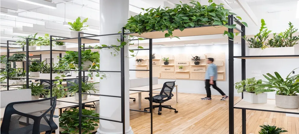 biophilic design workplace