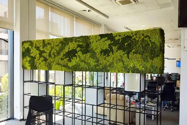 green office area interior