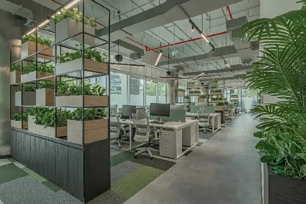 green office area Designs