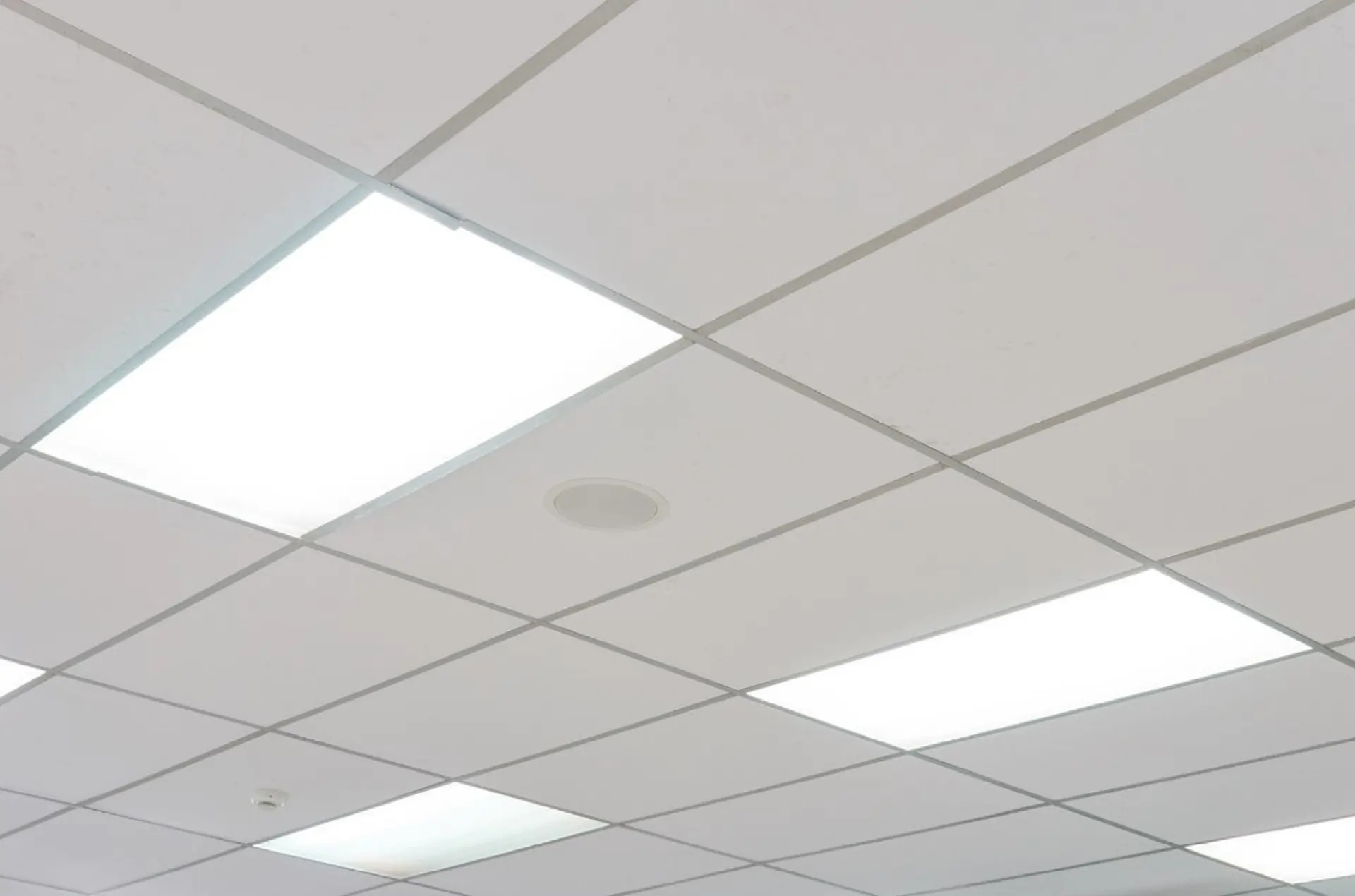 grid ceiling delhi