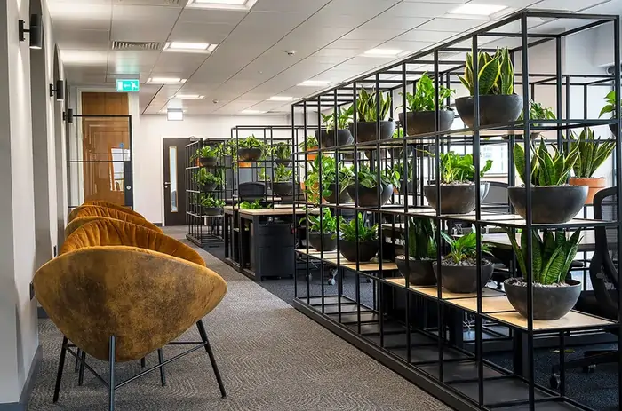 Biophilic office Design