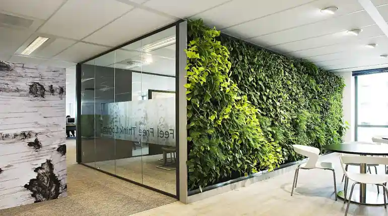 Eco Friendly office solutions Delhi